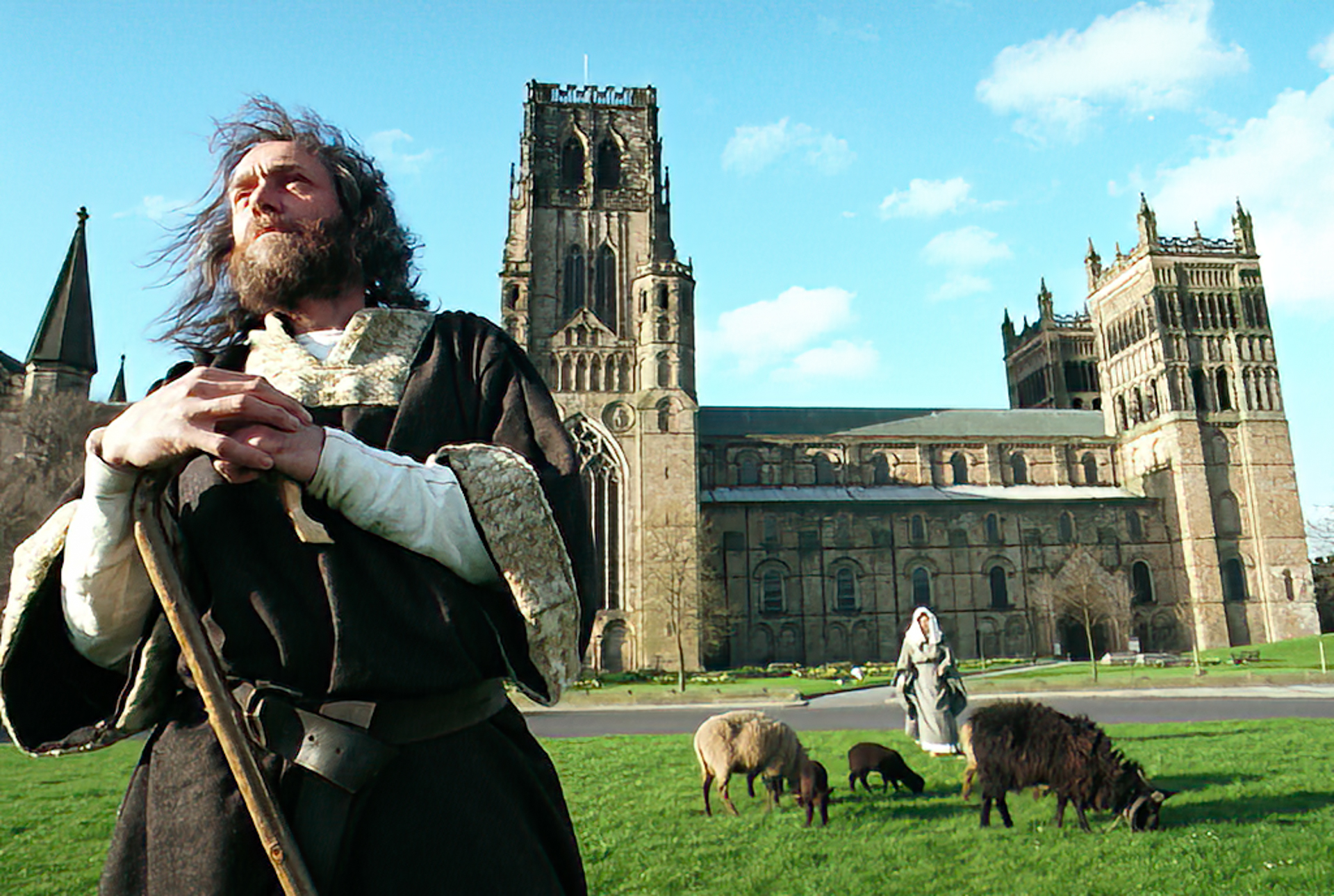sheep graze on palace green