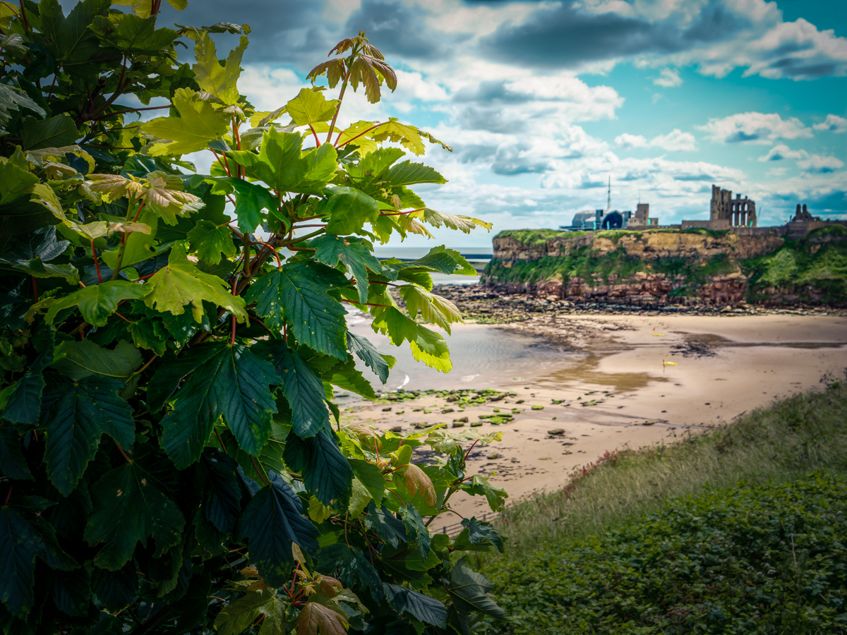tynemouth priory