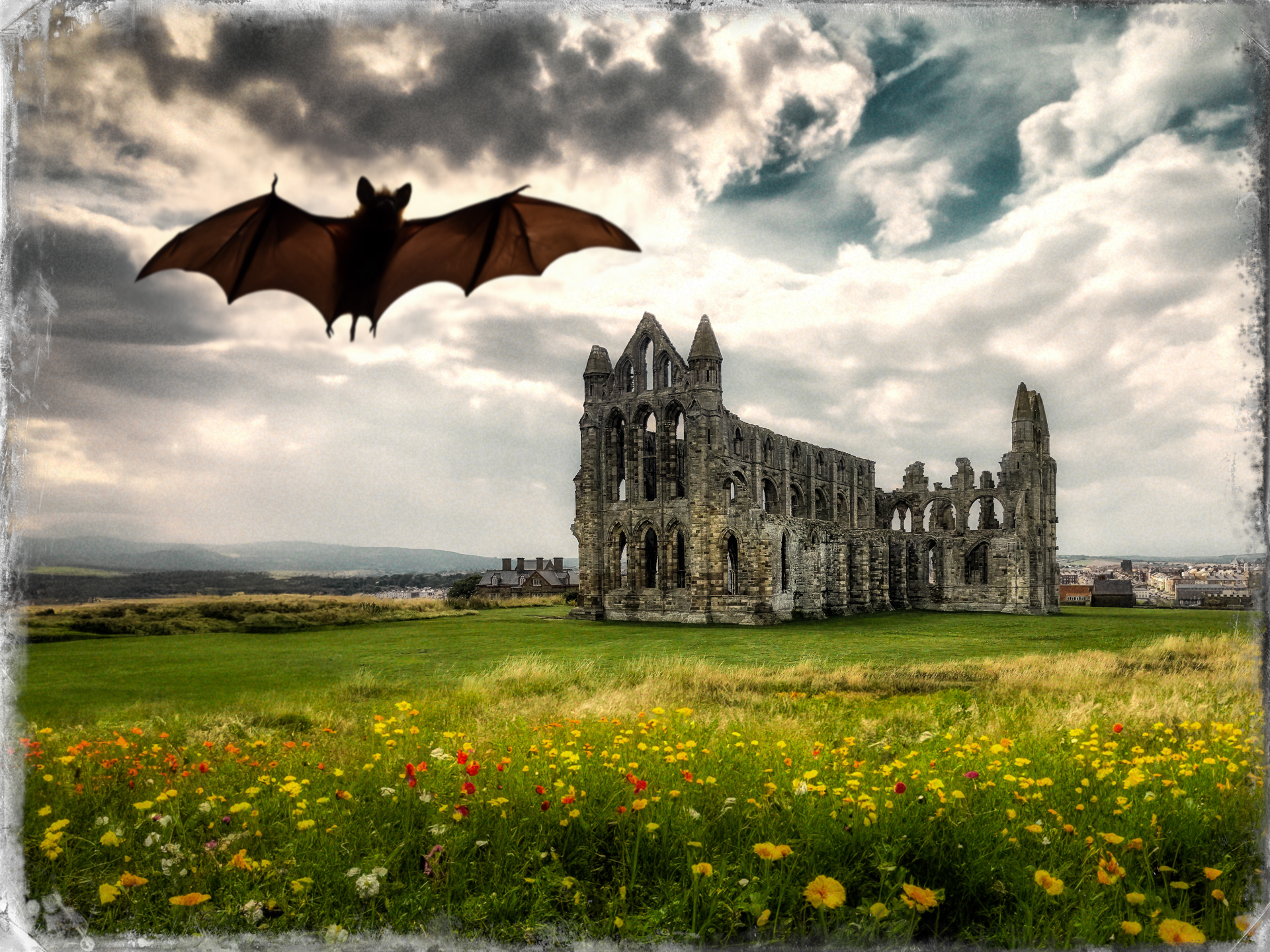 Whitby Abbey
